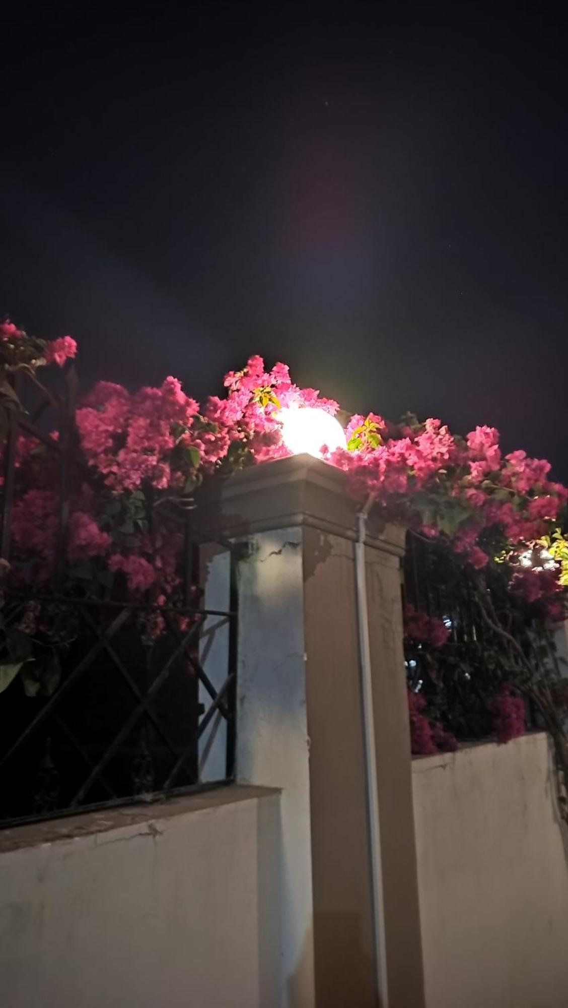 Shree Nanda Guest House 바라나시 외부 사진